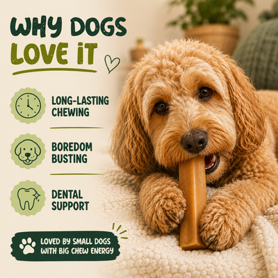 5 Pack - Small Yak Chews for Dogs with Turmeric
