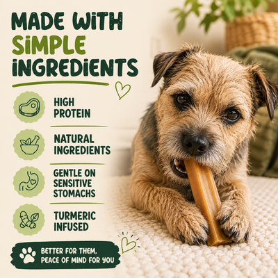 5 Pack - Small Yak Chews for Dogs with Turmeric