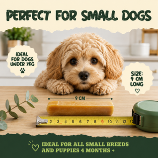 5 Pack - Small Yak Chews for Dogs with Turmeric