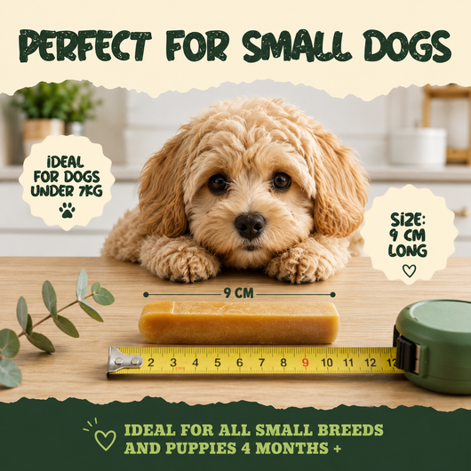 5 Pack - Small Yak Chews for Dogs with Turmeric