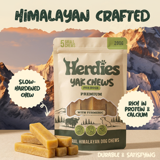 5 Pack - Small Yak Chews for Dogs with Turmeric