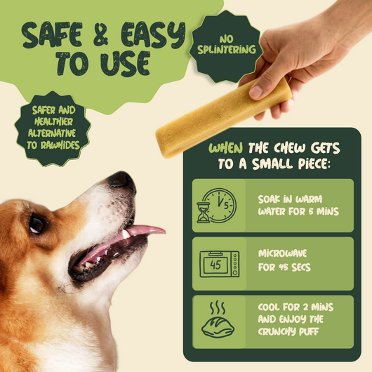 5 Pack - Small Yak Chews for Dogs with Turmeric